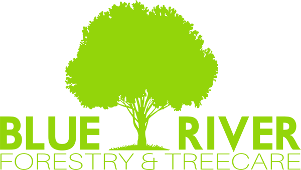 Tree Care Boulder Longmont Co